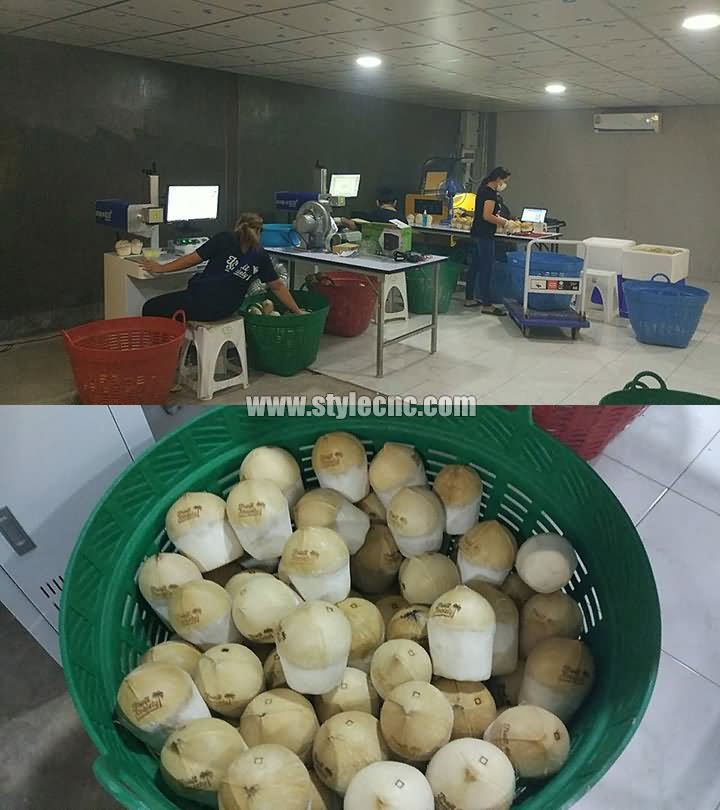 泰國椰子激光雕刻機(jī) 泰國椰子激光雕刻機(jī)