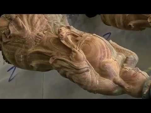 2025年最佳多頭數(shù)控雕刻機(jī)(帶多主軸) 2025年最佳多頭數(shù)控雕刻機(jī)(帶多主軸)